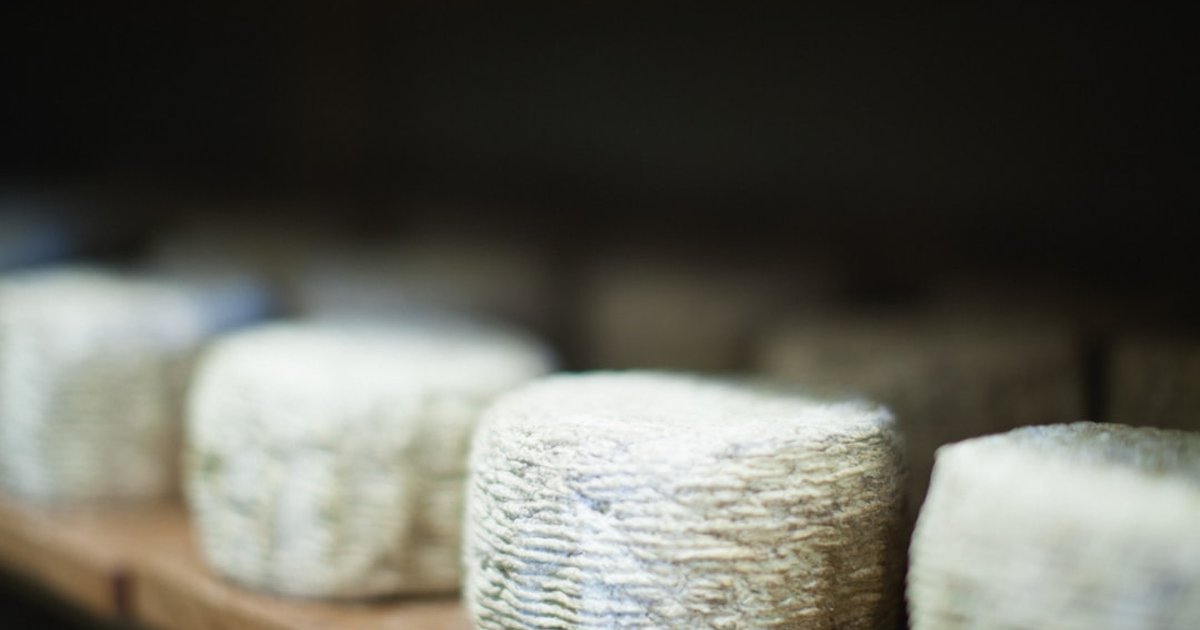 Discover Valladolid’s affordable cheesemakers, price tips