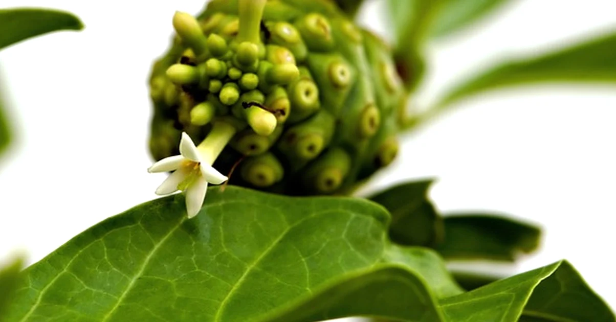 Don't mistake lactose-free claims for allergy safety