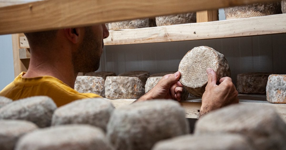Hire a Local Spanish Cheesemaker for Your Event — Checklist
