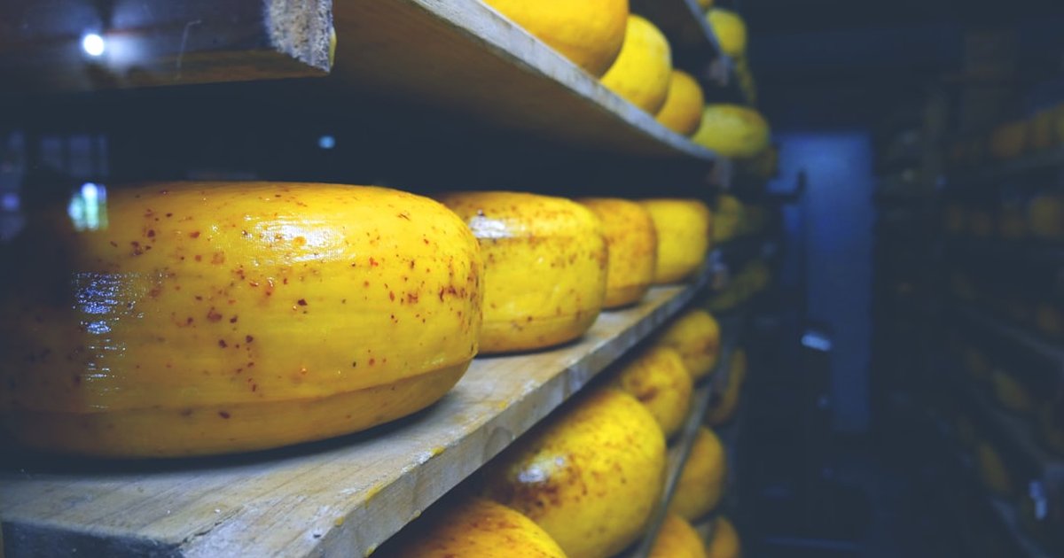 Know which microbiological tests make cheese safer