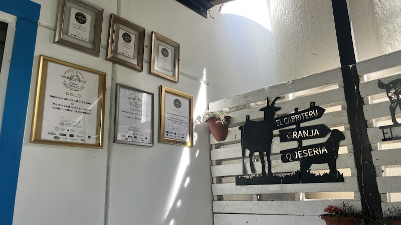 Cheesemakers in Asturias area — best rated 2026