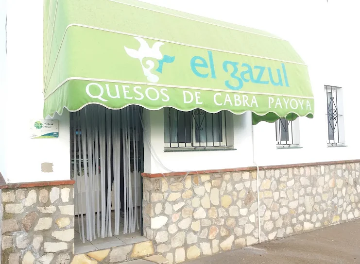 Cheesemakers in Cádiz area — best rated 2026