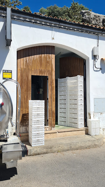 Quesería La Pastora - Cheesemaker in Grazalema