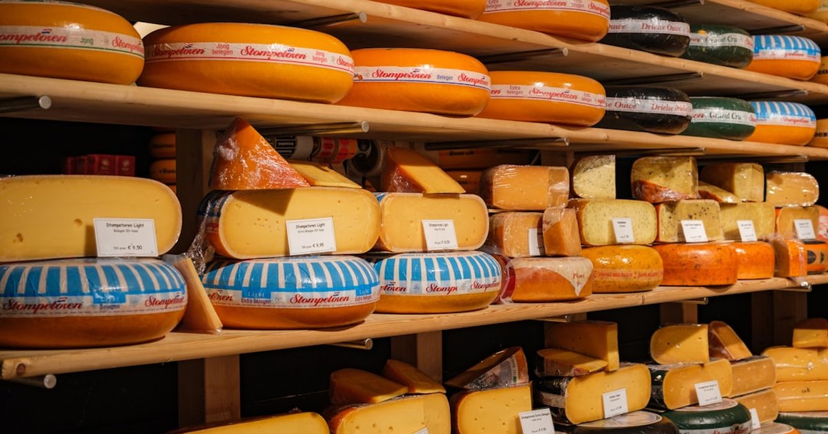 Cheesemaker Prices in Navarra: Retail, Wholesale & Tours