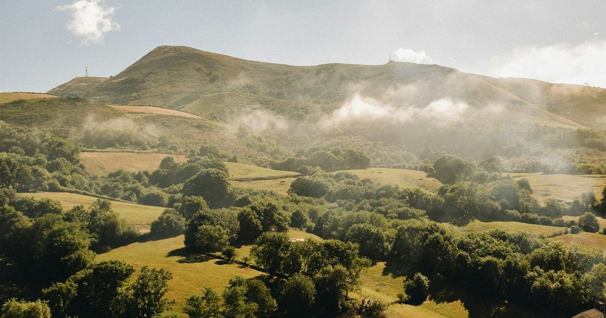 Taste and buy from local cheesemakers in Navarra