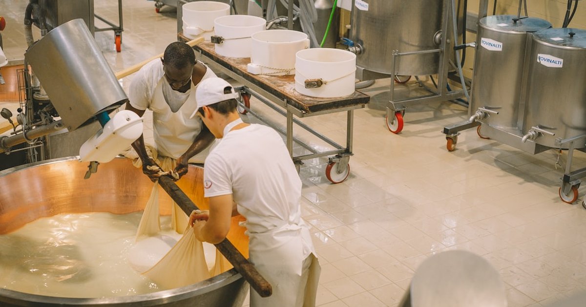 Taste mountain cheeses with local cheesemakers in Huesca