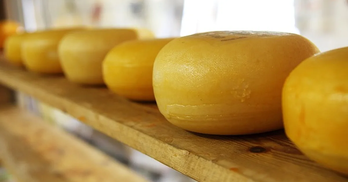 The Best Cheesemaker for Your Dairy May Not Be a Hire