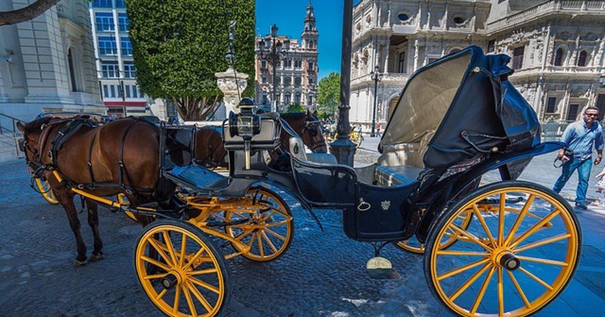 The real price of cheesemakers in Seville