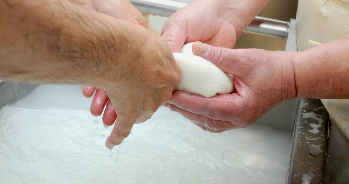Understand How Long Artisan Cheese Takes From Vat to Cave