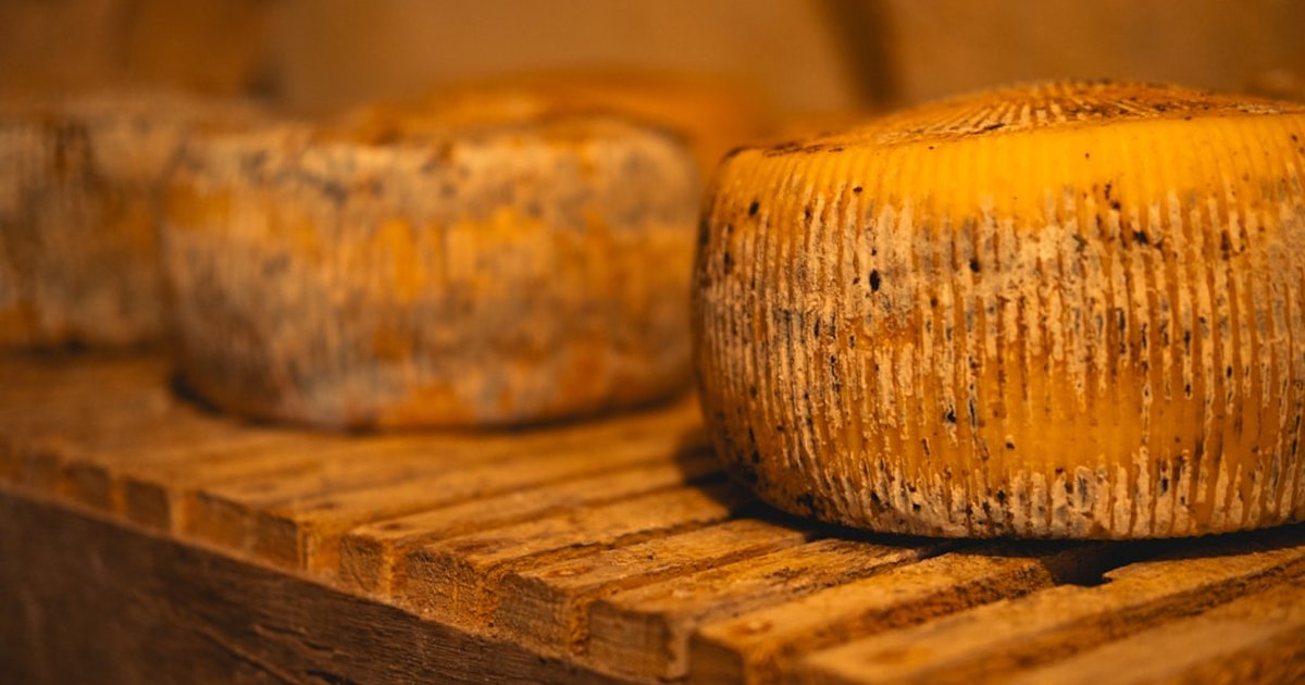 Visit Spain's cheesemakers: licensing and insurance safely