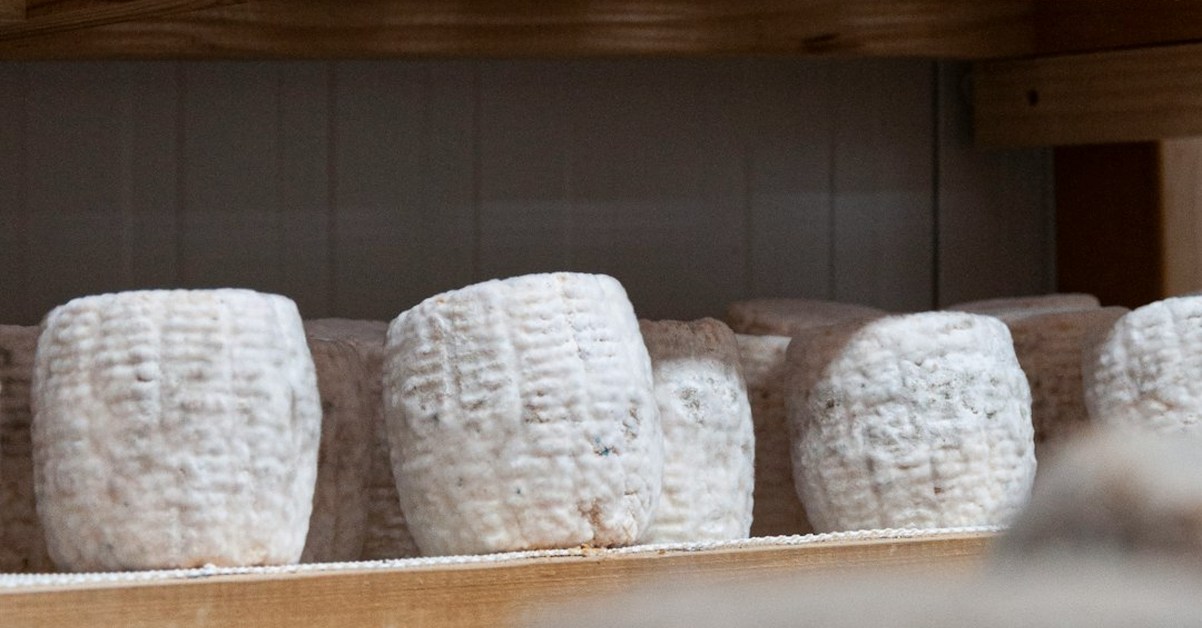 Why Seville’s Best Cheesemakers May Not Be in the City