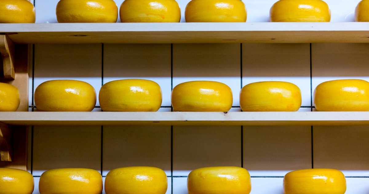 Why your rennet gives weak curds or bitter cheese